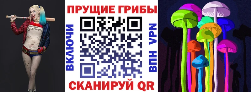 Галлюциногенные грибы Magic Shrooms  как найти наркотики  Енисейск 